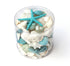medium aqua mix seashell pack